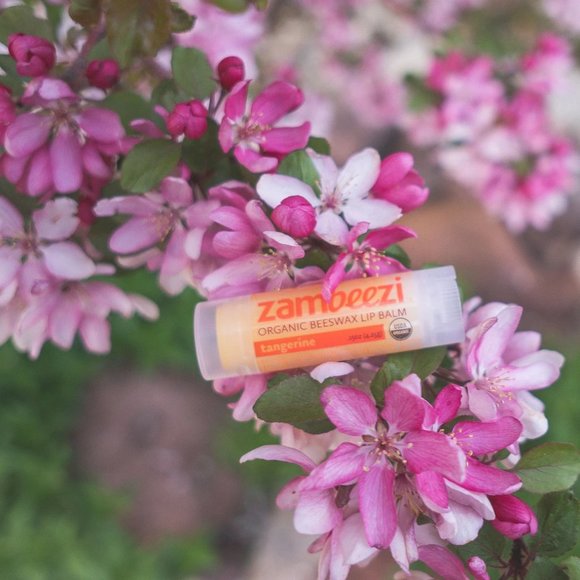 Lot of 6 Tangerine all natural beeswax lip balm by Zambeezi - Picture 4 of 5